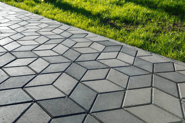 Professional Driveway Pavers in Johnson Lane, NV