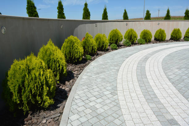 Residential Paver Driveway in Johnson Lane, NV